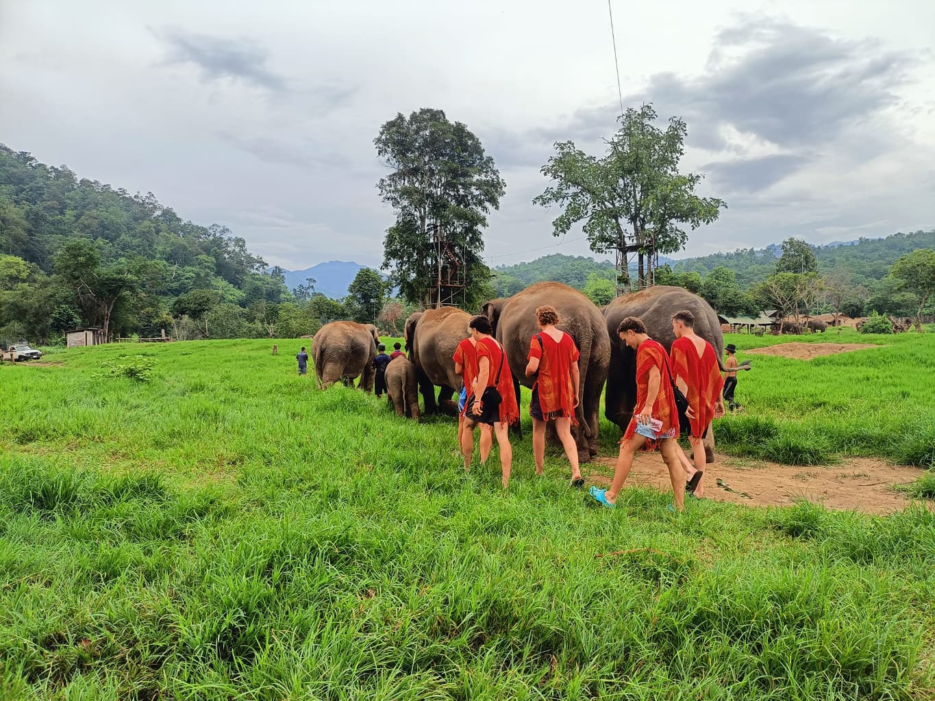 Authentic-Northern-Thailand-8-days-Elephant-Sanctuary-in-Chiang-Mai-5.jpg