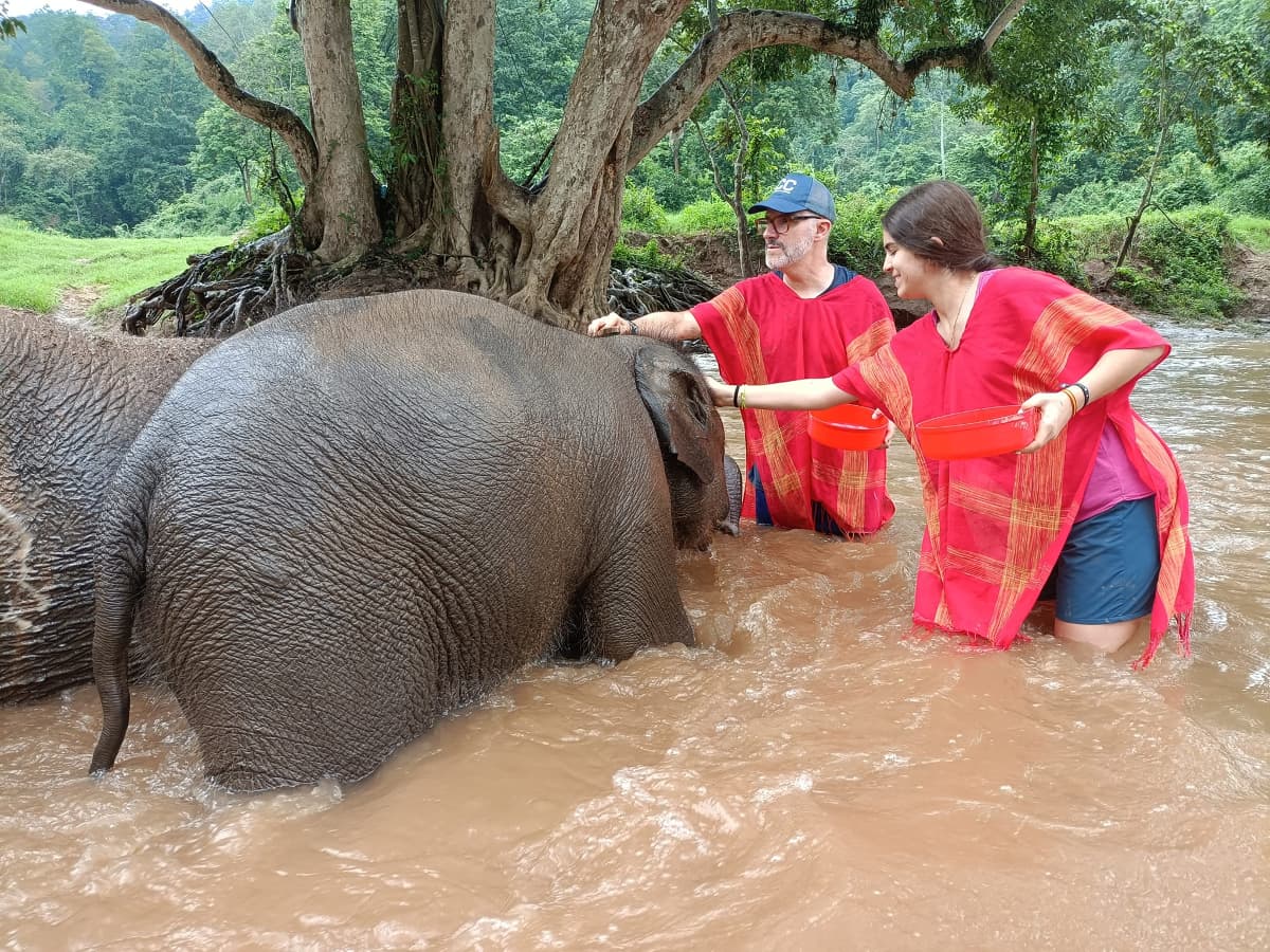 Best-Of-Thailand-15-Days-Elephant-Sanctuary-in-Chiang-Mai-13.jpg