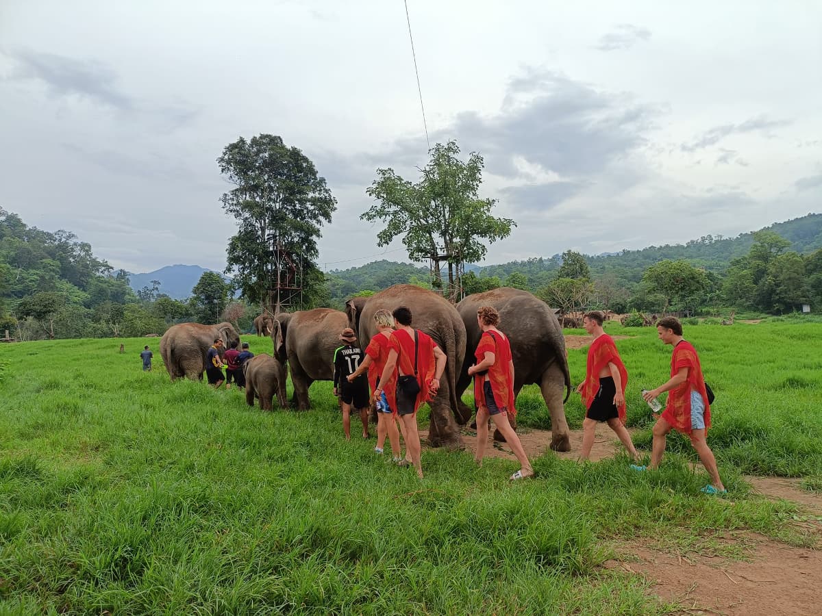 Best-Of-Thailand-15-Days-Elephant-Sanctuary-in-Chiang-Mai-6.jpg