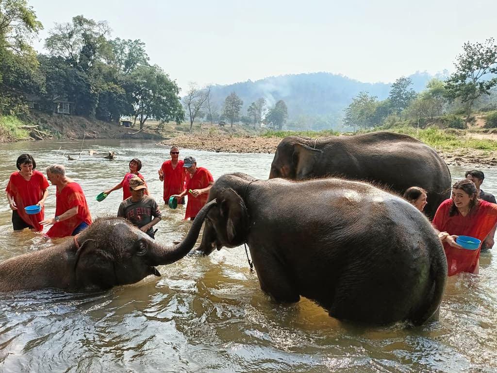authentic-thailand-trip-10-days-Elephant-Sanctuary-in-Chiang-Mai-28.jpg